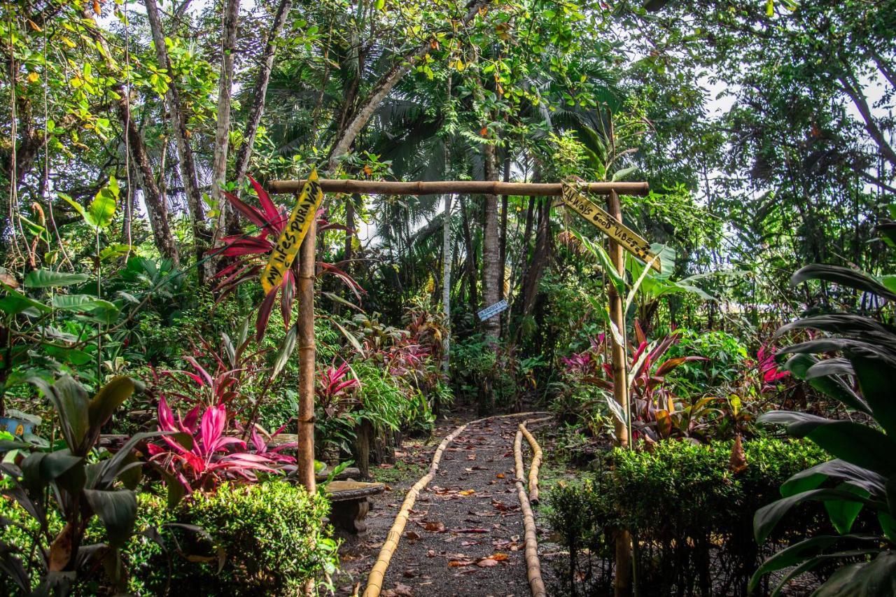 La Palapa Hut Nature Hostel Puerto Jiménez Exterior foto