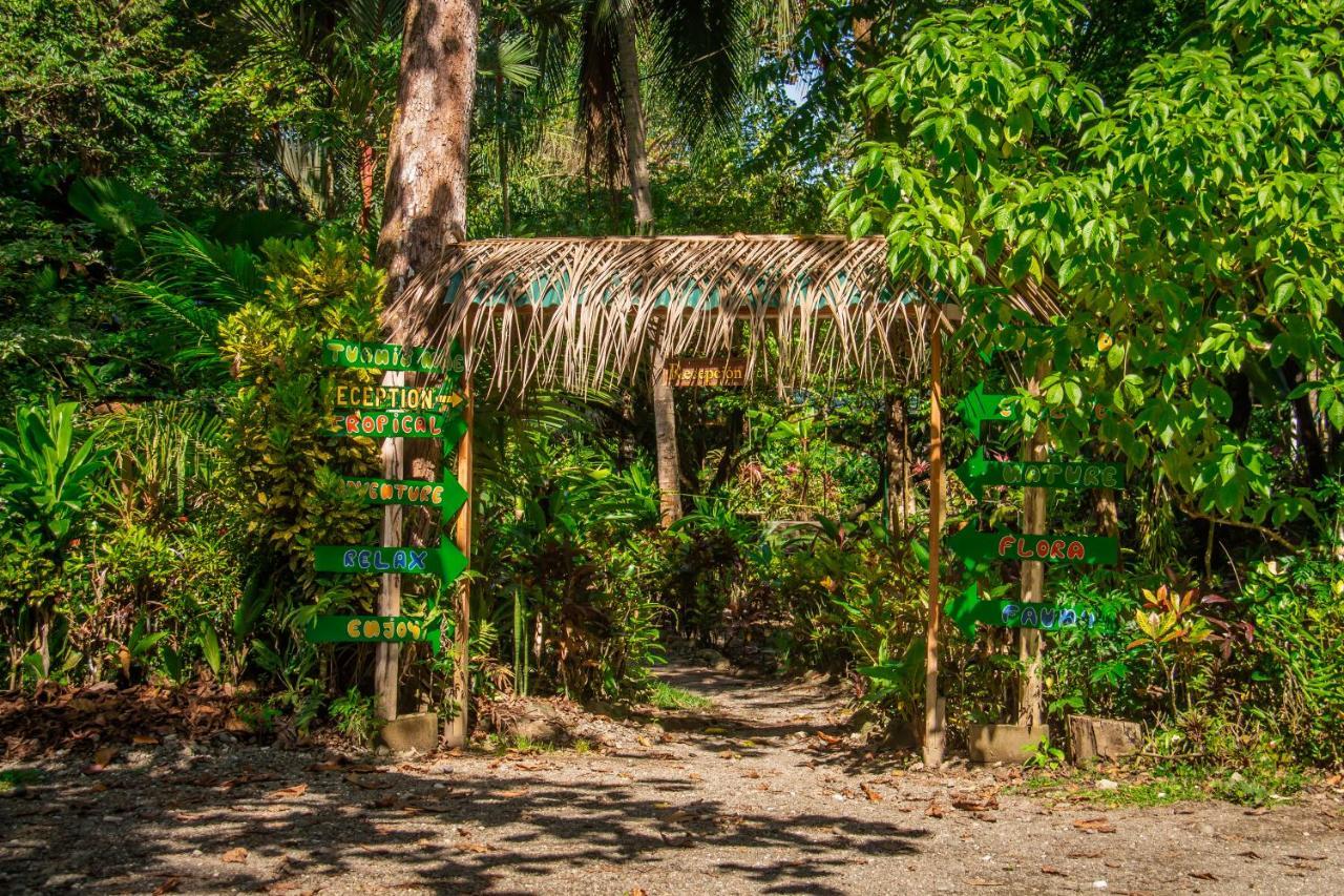 La Palapa Hut Nature Hostel Puerto Jiménez Exterior foto