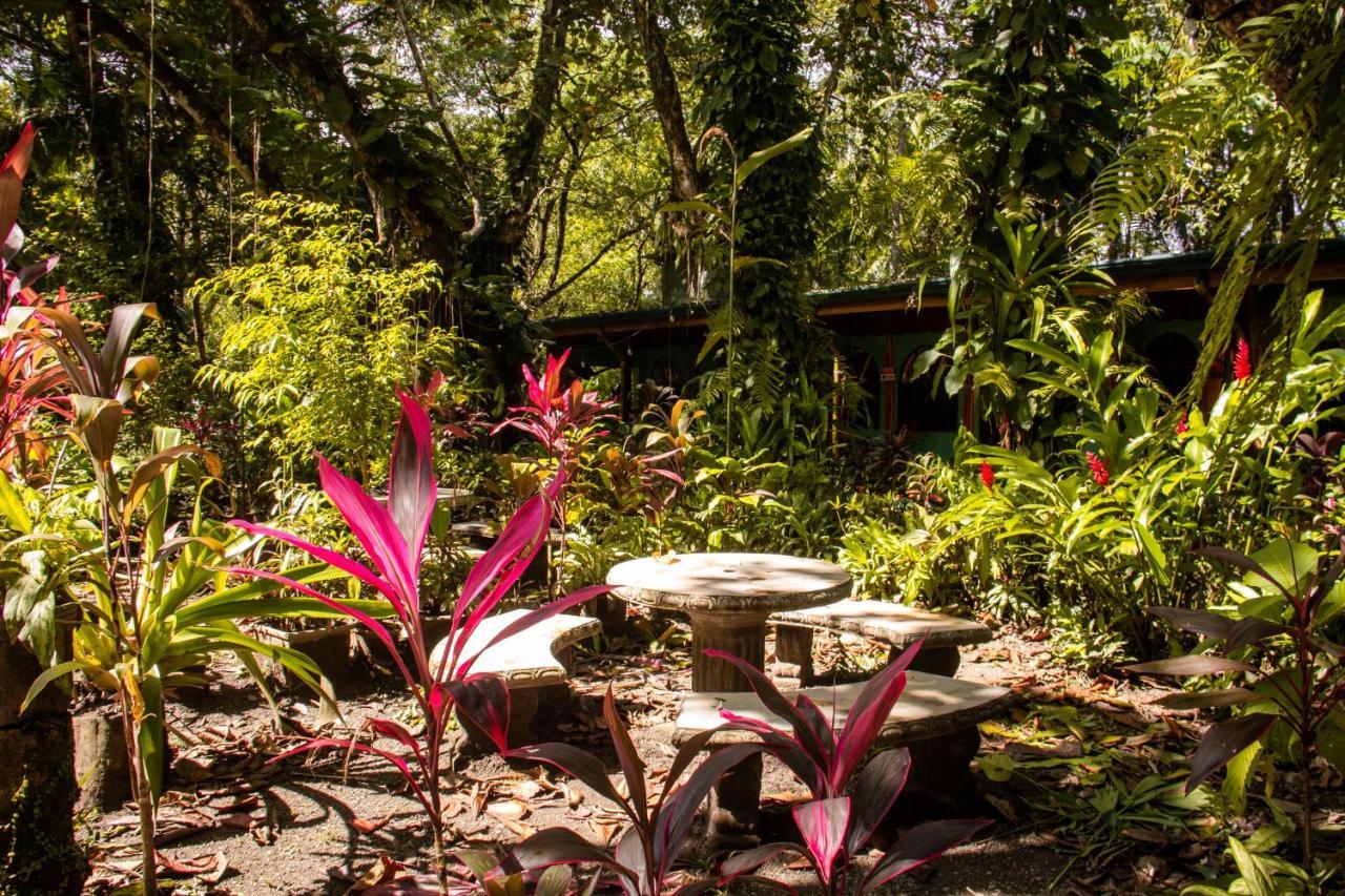 La Palapa Hut Nature Hostel Puerto Jiménez Exterior foto